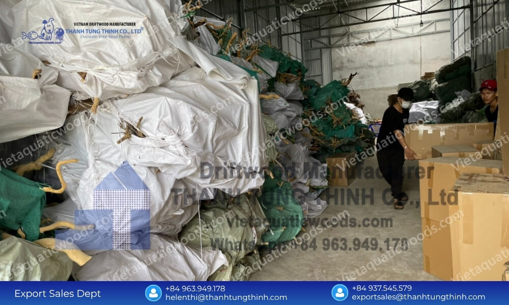 Sanda Driftwood Factory Direct Supplier with Massive Capacity