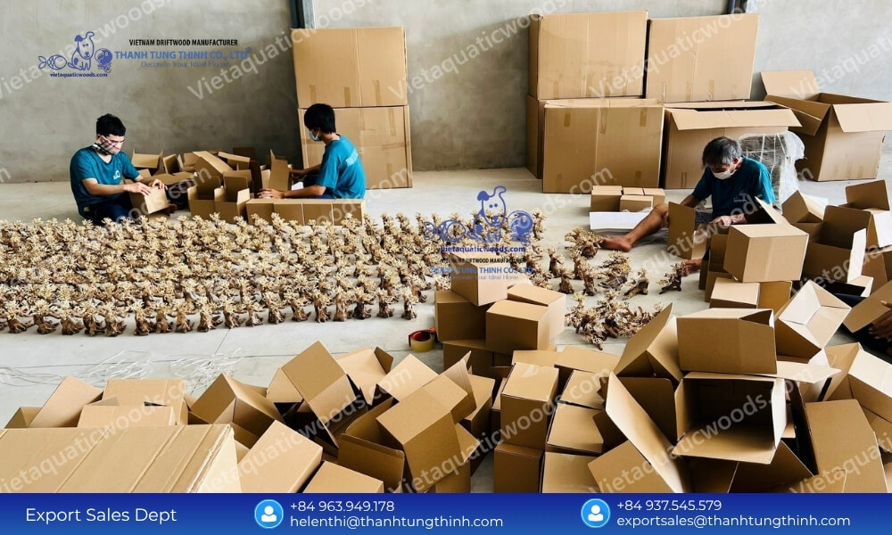 Sanda Driftwood Factory Direct Supplier with Massive Capacity