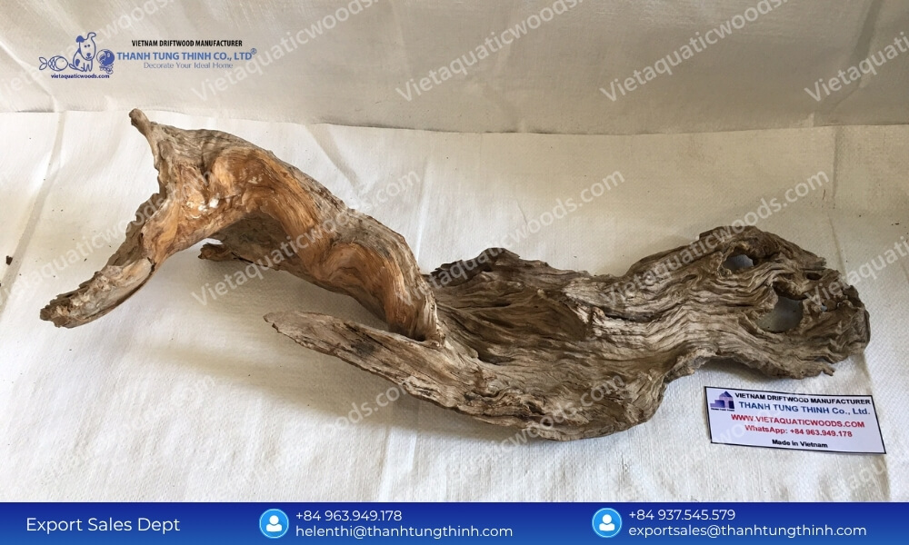 Sanda Driftwood Import from Vietnam: 100% Kiln-Dried & Mold-Free Wood