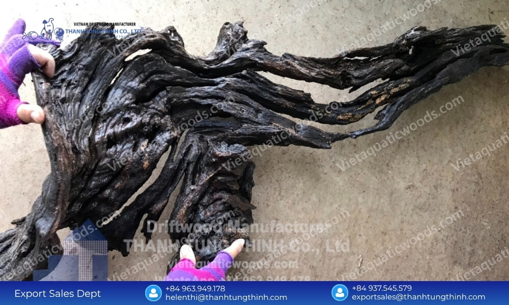 Sanda Driftwood Import from Vietnam: 100% Kiln-Dried & Mold-Free Wood