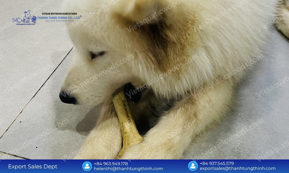 Source premium natural pet coffee wood dog chew solutions directly from our factory