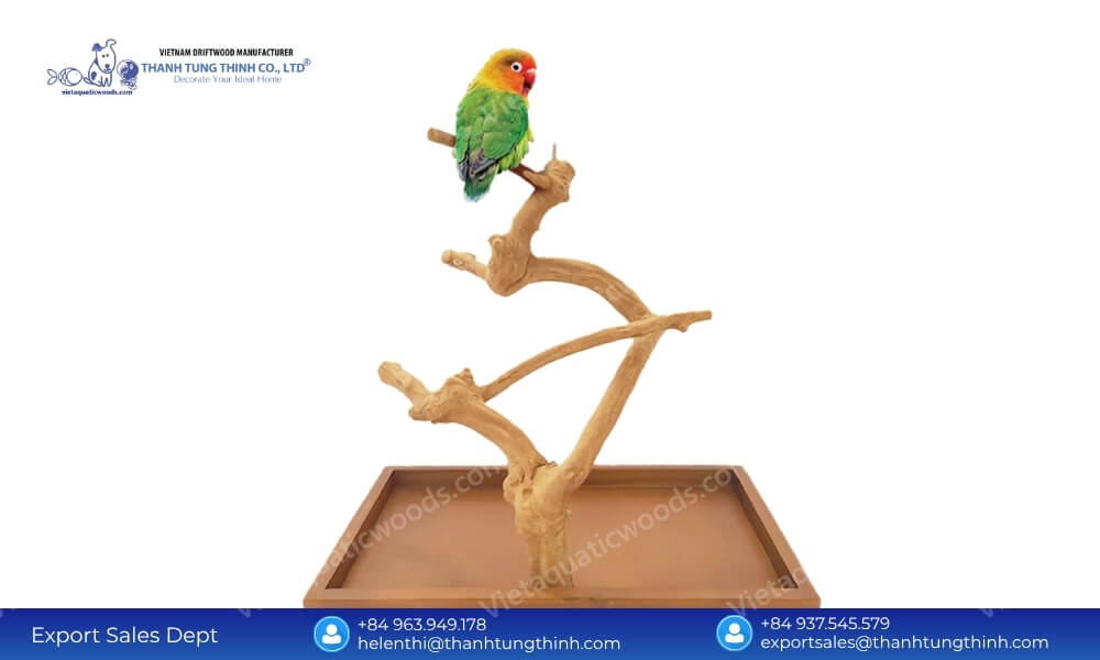 A small bird sitting on a highly textured and twisted wall-mounted coffee wood bird perch