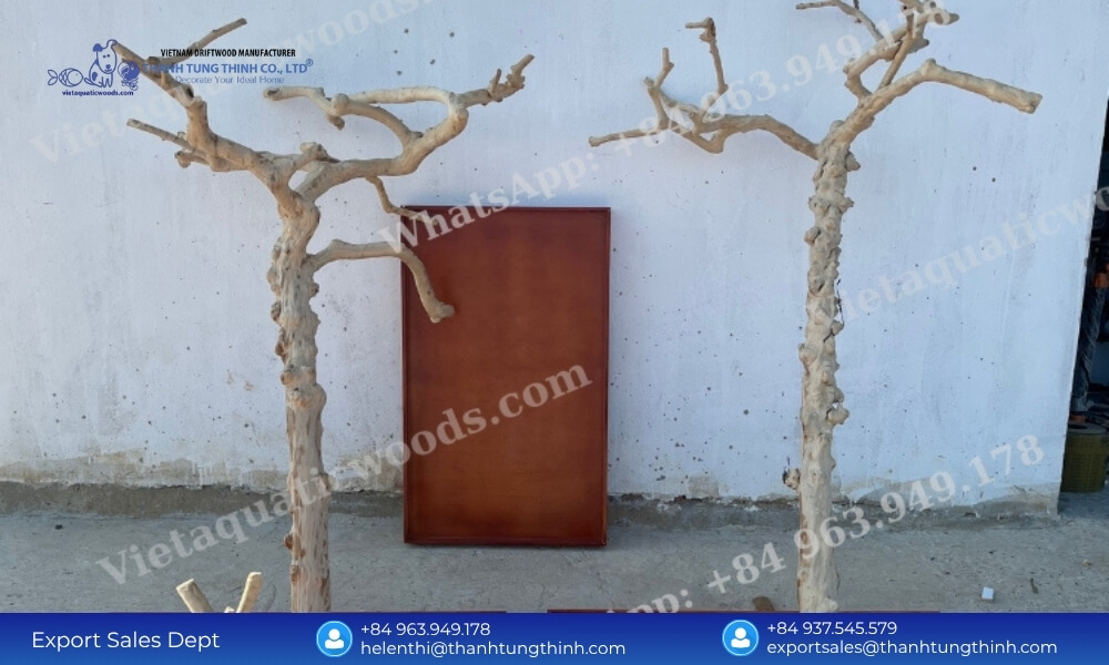 Two fully sandblasted and polished large coffee wood bird perch structures waiting for base assembly
