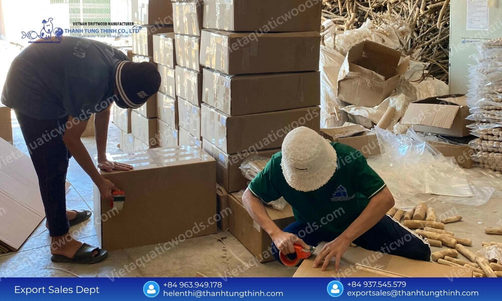 Dedicated staff boxing products at the manufacturing facility of a leading coffee wood dog chew wholesale distributor