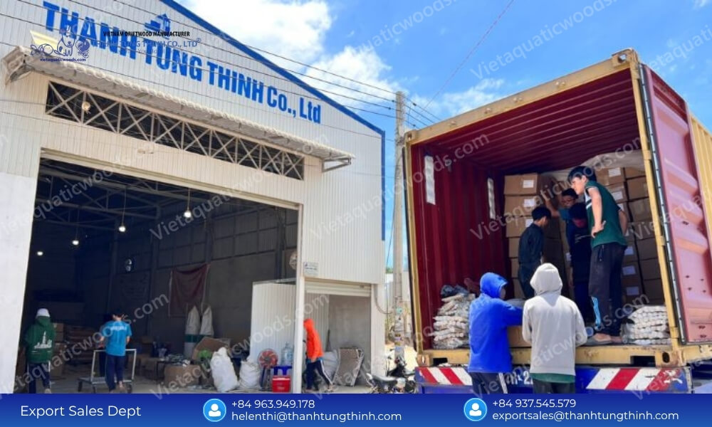 A large manufacturing facility warehouse labeled Thanh Tung Thinh Co Ltd alongside an active shipping container vehicle