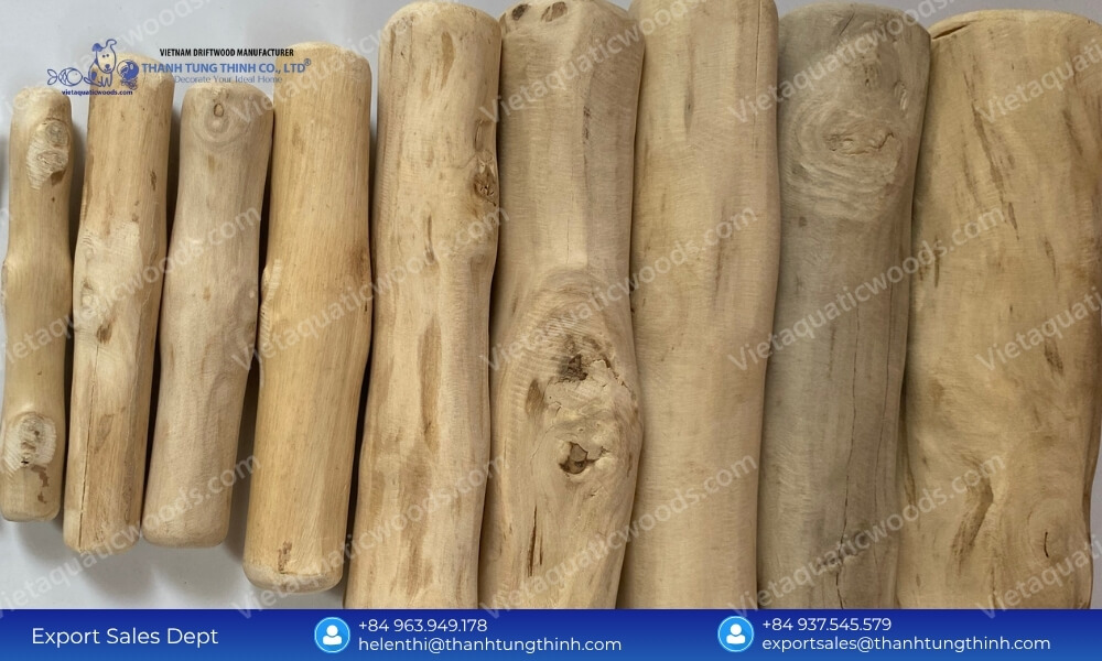 A row of perfectly debarked and smooth logs of organic large coffee wood dog chew items