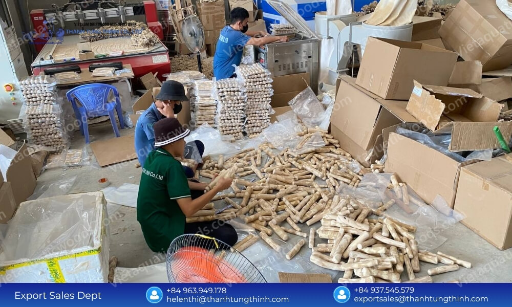 thanh tung thinh reliable coffee wood chew vendors rigorous quality control run