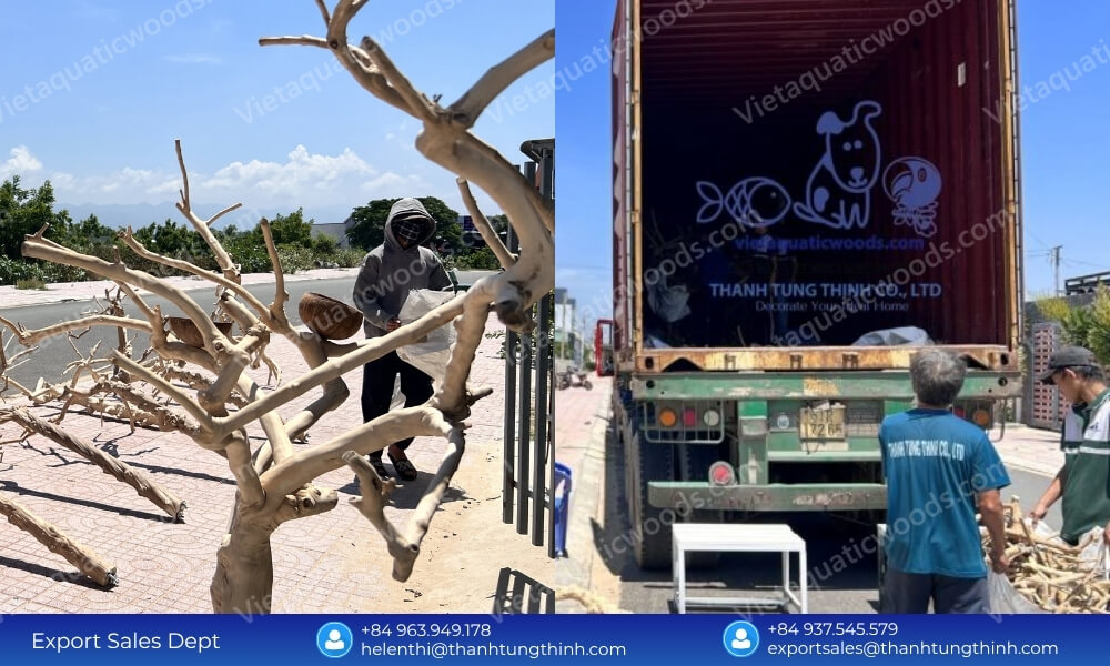 Export shipping container preparation and outdoor quality check for wholesale pet bird accessories