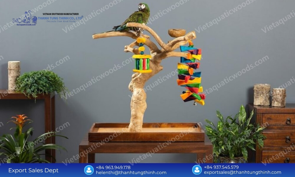 A parrot on an ergonomic coffee wood stand from a trusted Coffee Wood Bird Perch supplier