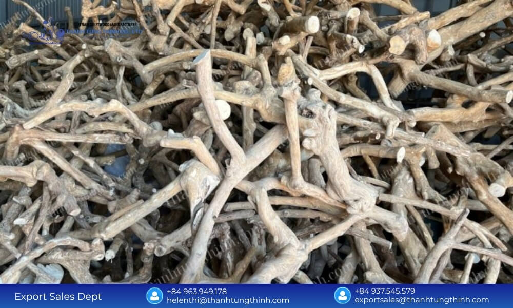 A large collection of coffee wood branches from a reliable Coffee Wood Bird Perch supplier