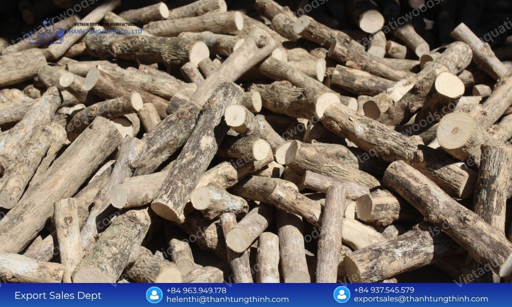 Raw dense timber logs used by a sustainable coffee wood dog chew manufacturer