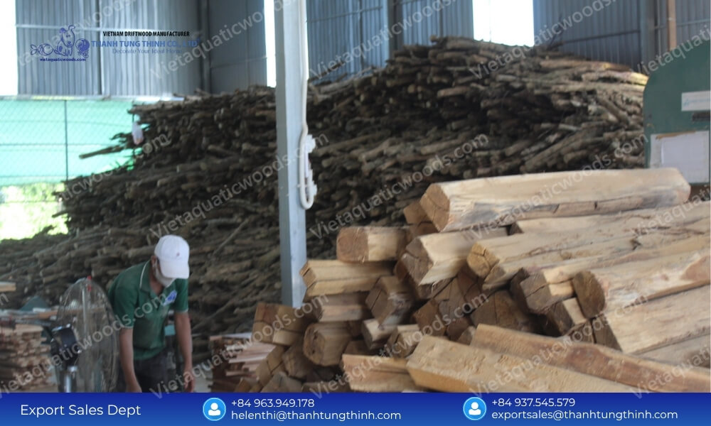 Raw timber logs being prepared for production under a factory direct bulk buy coffee wood reptile hideouts program