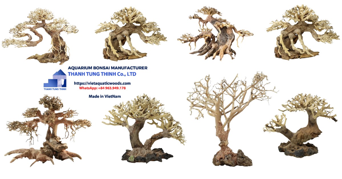 Supplier Small Bonsai Driftwood specializes in providing beautiful, quality products to wholesalers