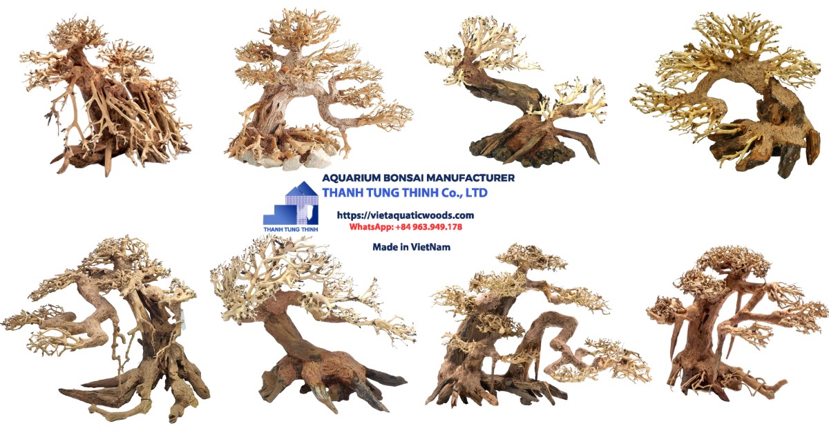 Manufacturer Medium Bonsai Driftwood specializes in providing large quantities of Medium Bonsai Driftwood models to international markets