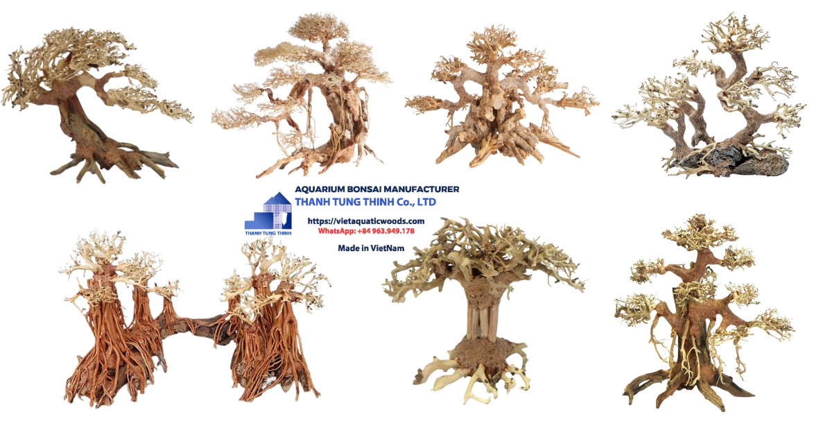 Manufacturer Large and Extra-Large Bonsai Woods specializes in providing natural products exported to many international countries