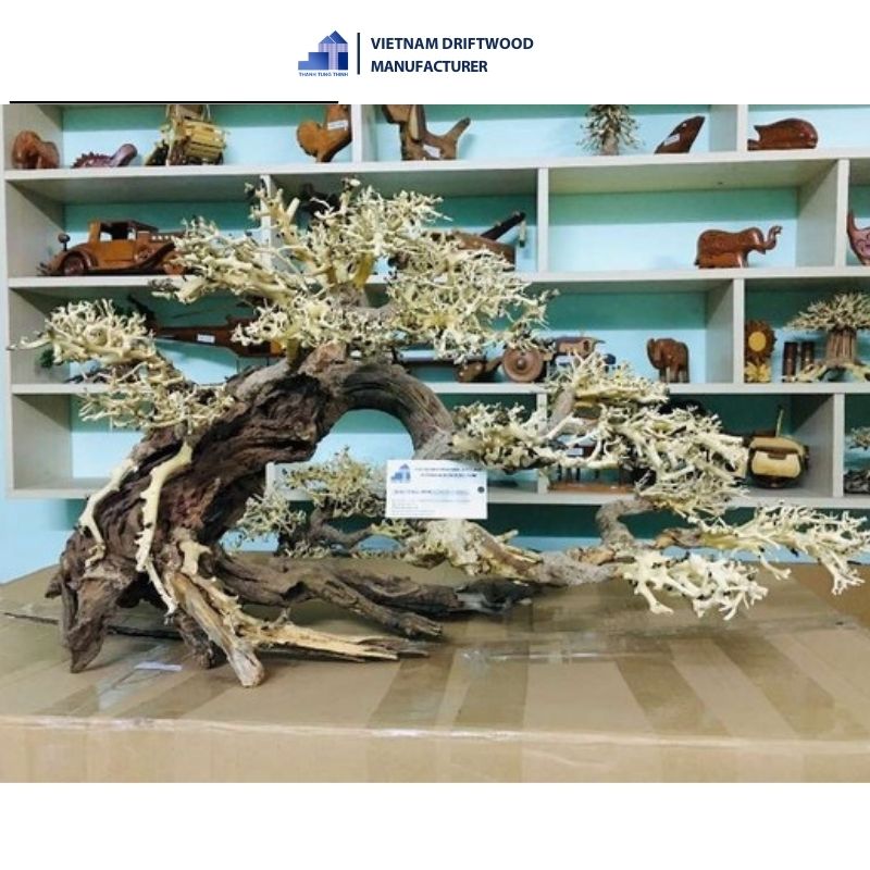 Right tilt medium bonsai driftwood aquatic plants for aquarium accessories