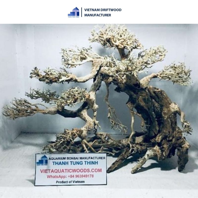Left tilt medium bonsai driftwood aquatic plants for aquarium accessories
