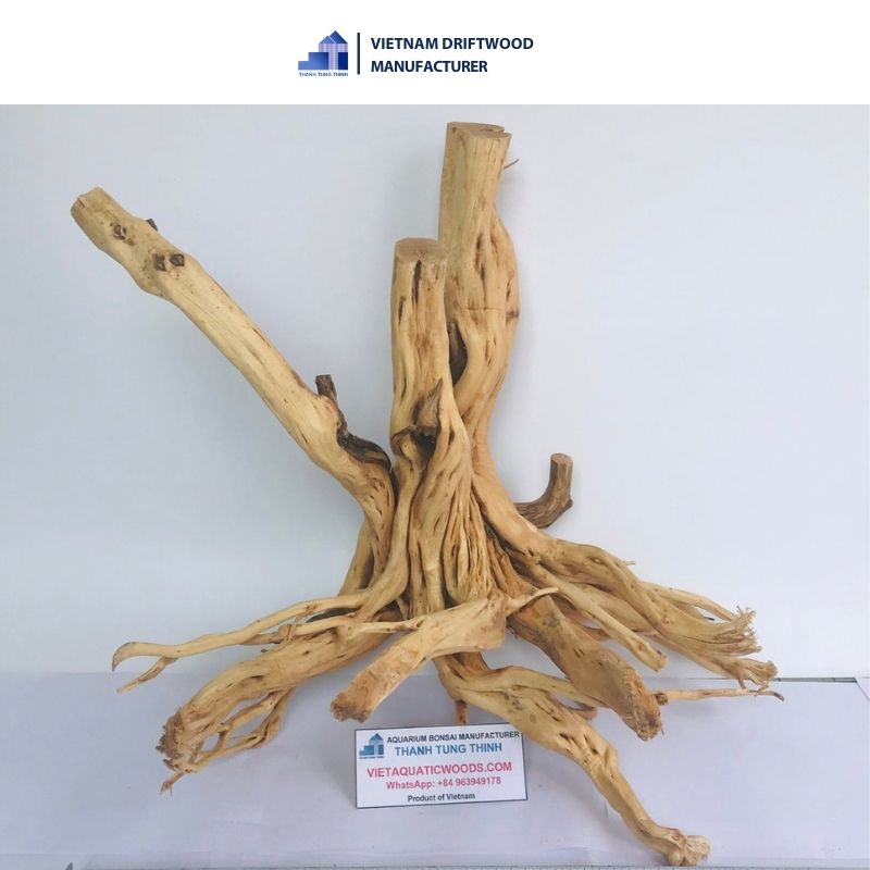 Unique shape Thanh Lieu Natural Driftwood for Aquarium Decoration