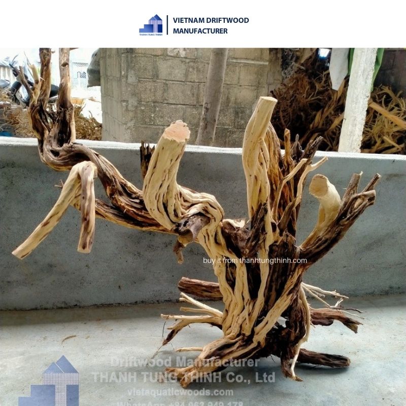 Natural Driftwood from Thanh Lieu Wood use as Aquarium Decoration