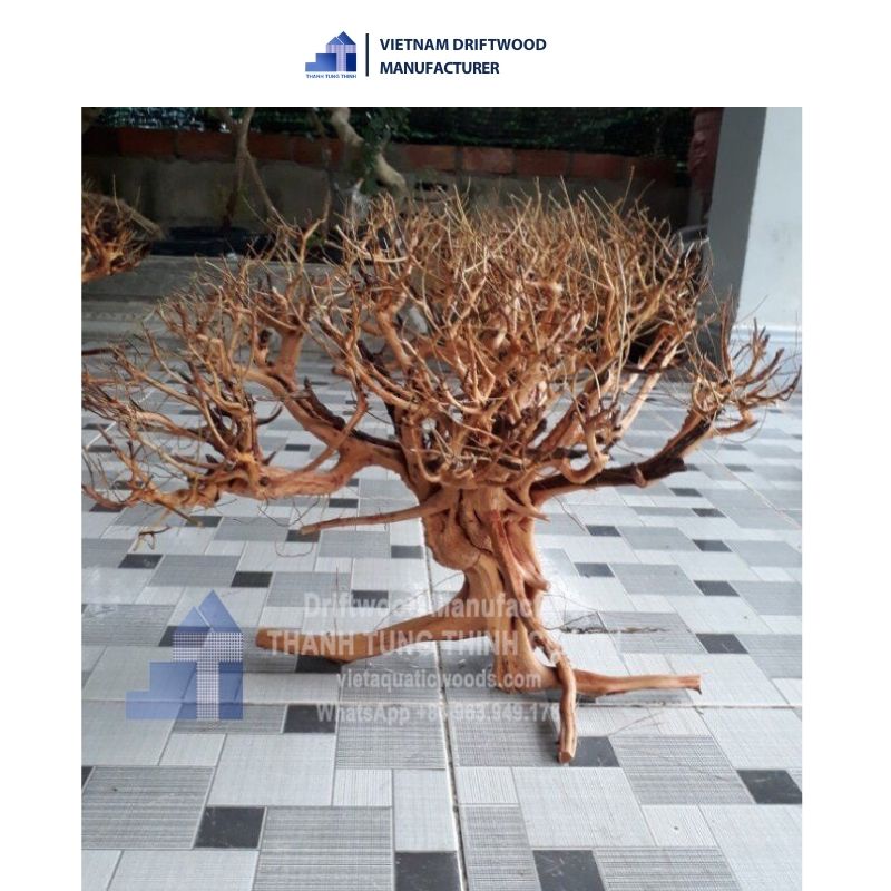 Unique Shape Sa Tung Natural Driftwood for Aquascape