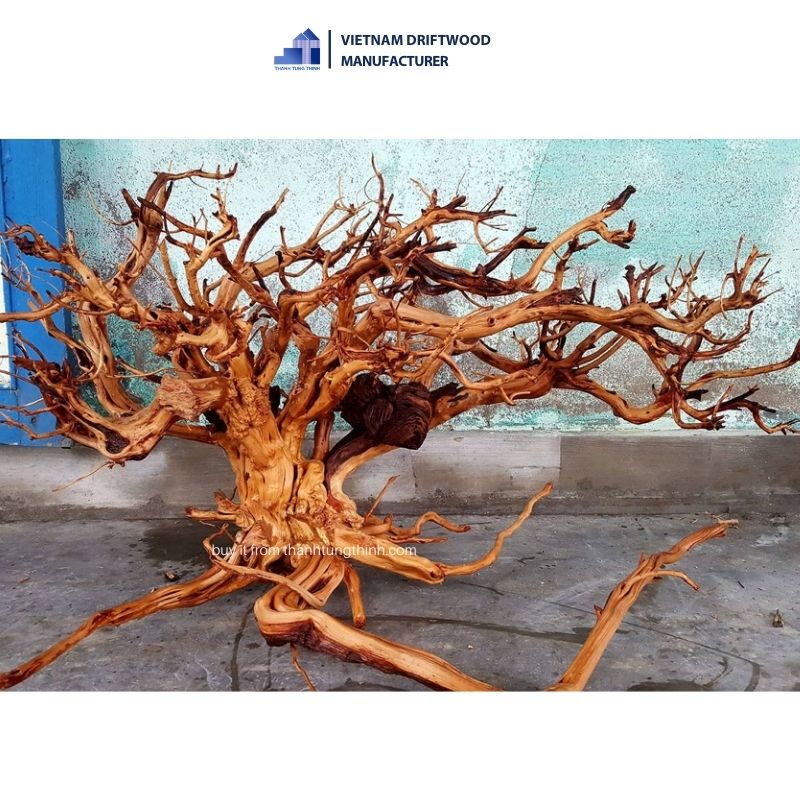 Exclusive shape Sa Tung Natural Driftwood for Aquarium Decoration