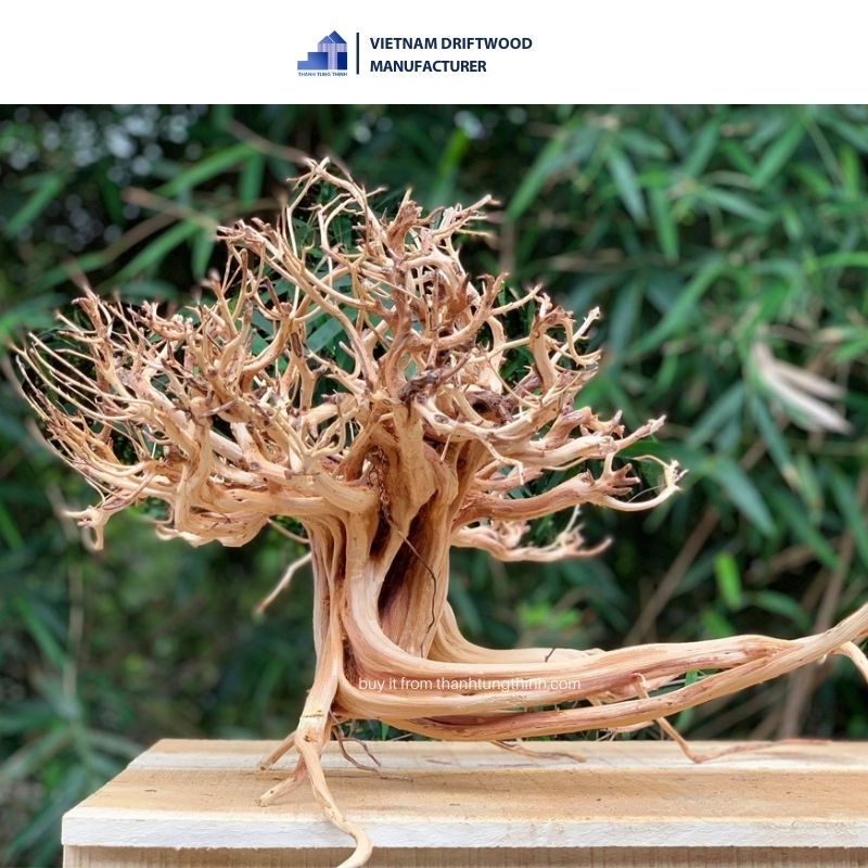Curving Natural Driftwood made from Sa Tung Wood