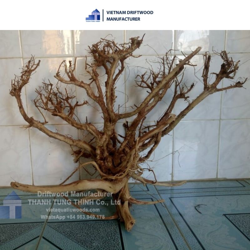 Huge Satung Natural Driftwood for Decoration