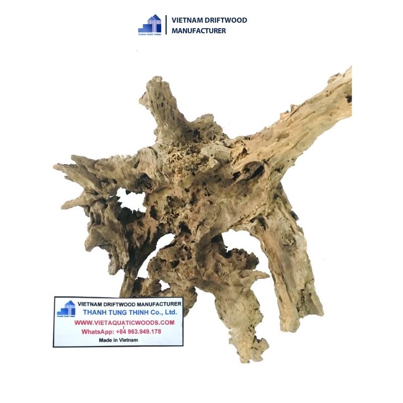 Special shape of Sam Natural Driftwood for Reptile Tank Decor