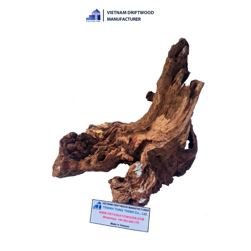 Beautiful shape of Sam Natural Driftwood