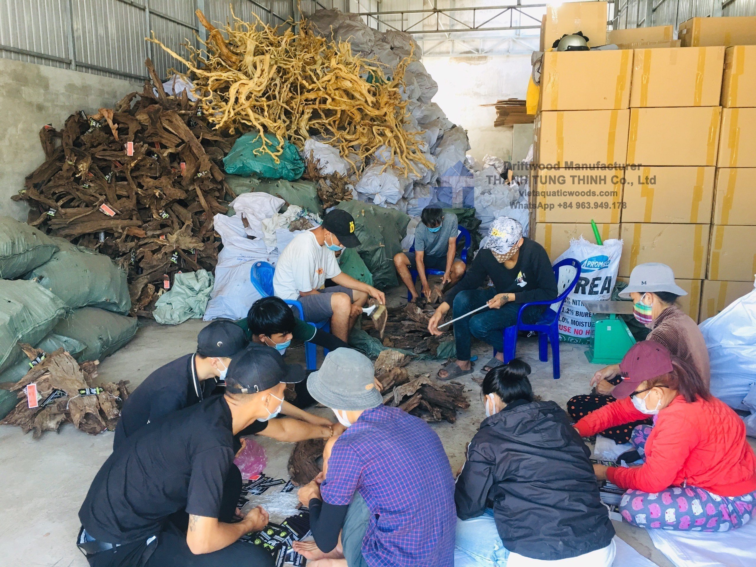 Packing process factory of bonsai driftwood manufacturer 61