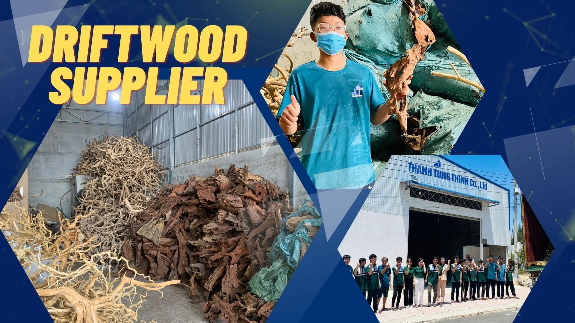 The packaging process of a Driftwood Bonsai factory in Vietnam - Driftwood Supplier