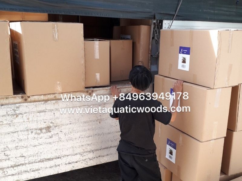 We pack Natural Driftwood according to international export standards