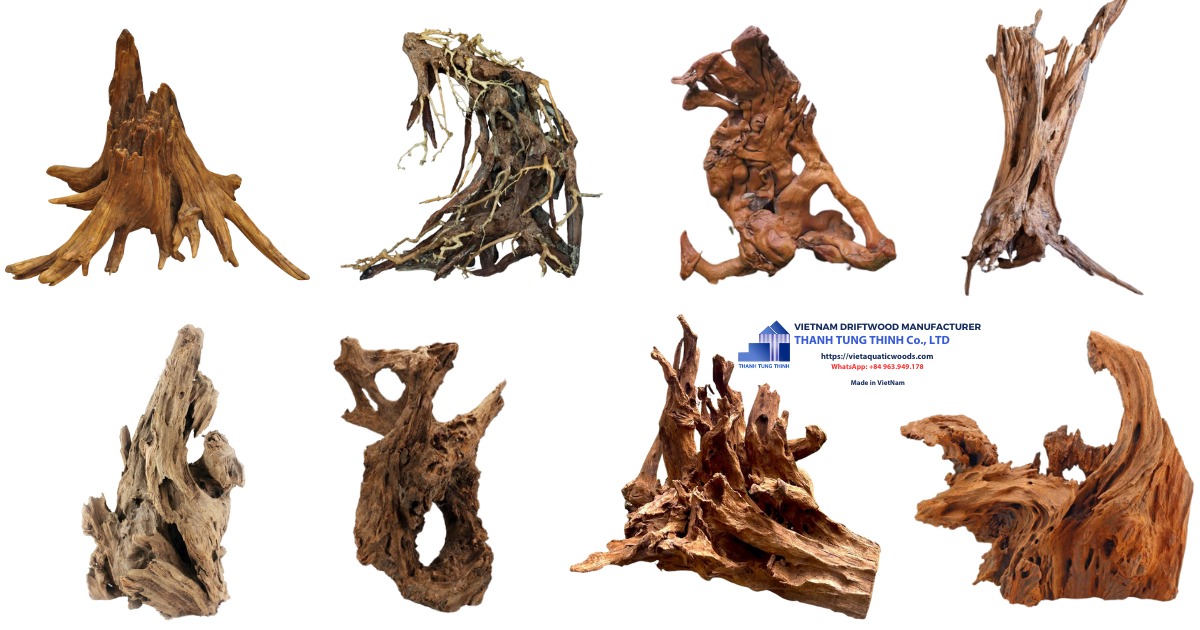 Huge Roots natural driftwood Manufacturer is a reputable manufacturer with many years of experience in exploiting Huge Roots