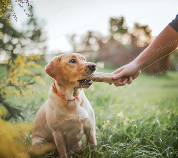 coffee-wood-dog-chew-supplier (16)