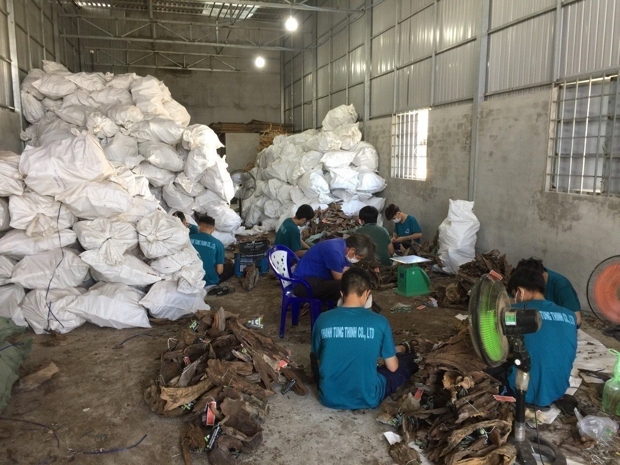 Packing process factory of bonsai driftwood manufacturer 55