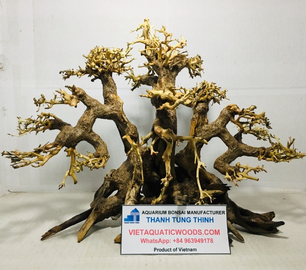 manufacturer-large-and-extra-large-bonsai-woods-1-2.jpg