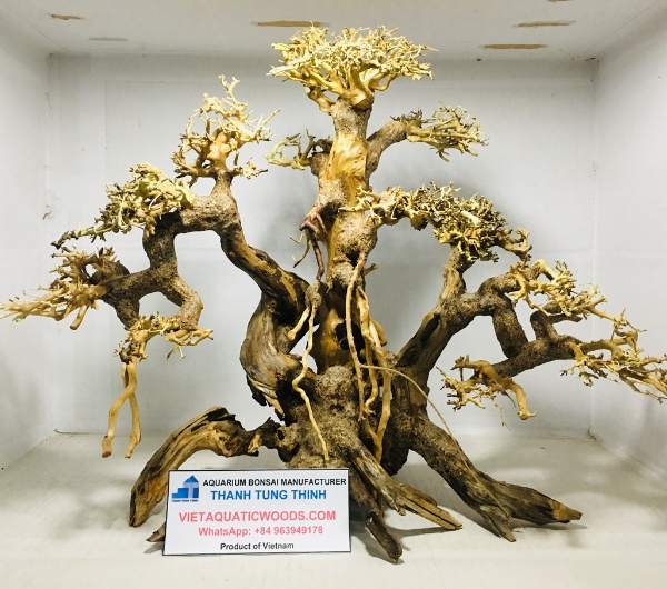 manufacturer-large-and-extra-large-bonsai-woods-2-1.jpg