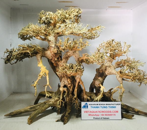 manufacturer-large-and-extra-large-bonsai-woods-5-1.jpg
