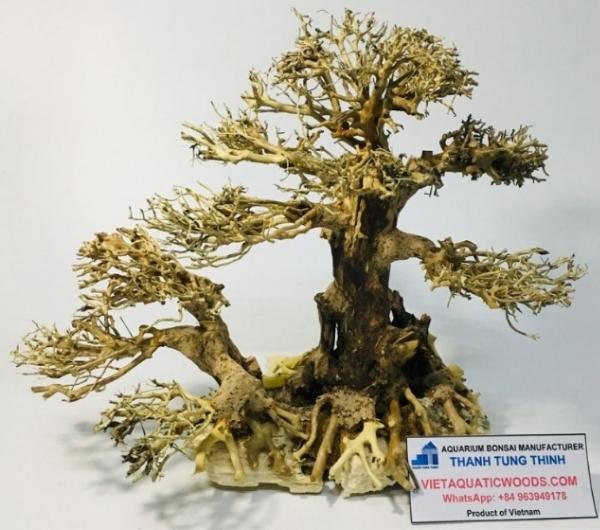manufacturer-medium-bonsai-woods-7.jpg