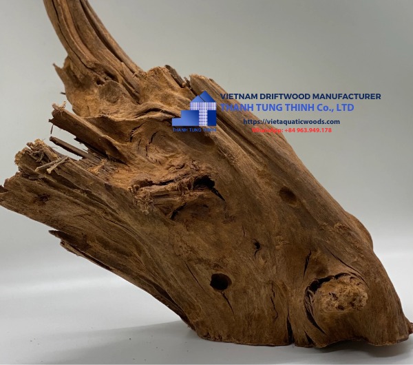 driftwood-tree-for-sale (5)