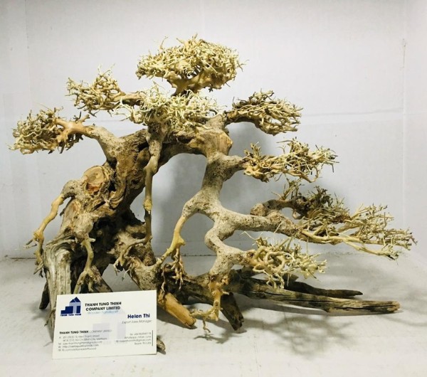 how-is-bonsai-driftwood-made (3)