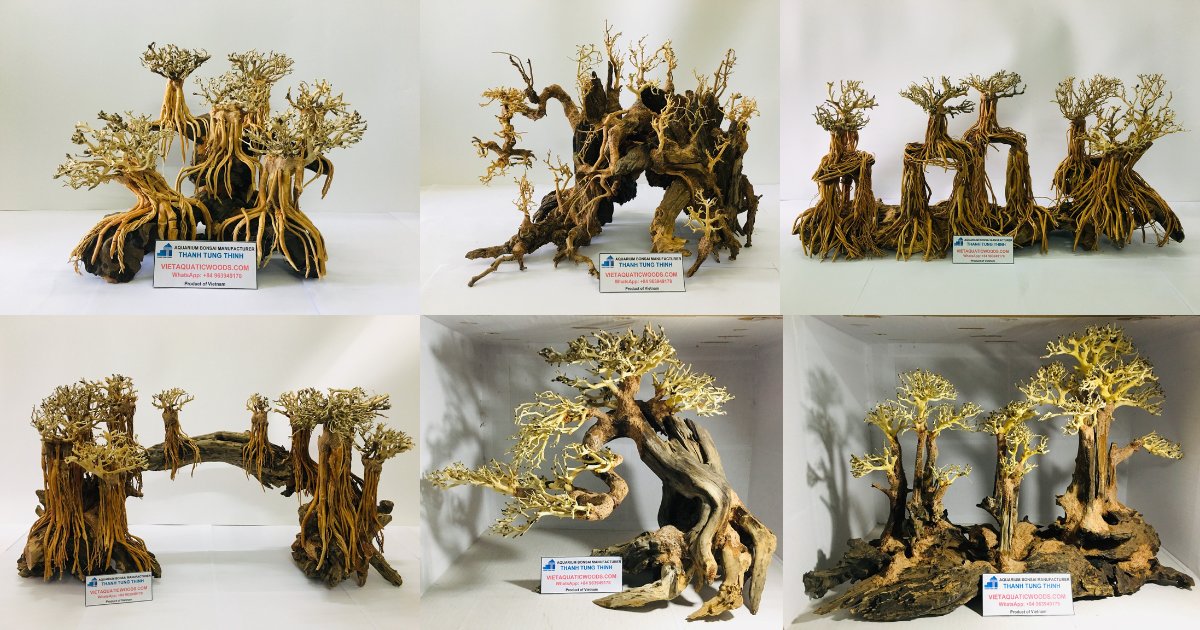 Revealing How Is Bonsai Driftwood Made And A Manufacturer Bonsai Driftwood Specializing In Exporting To International Markets