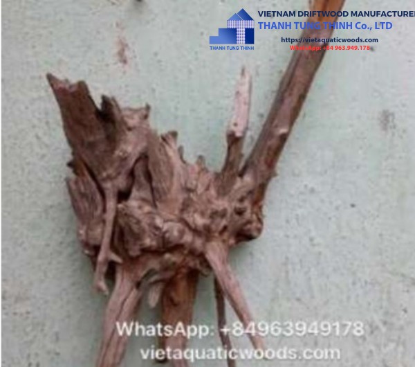 manufacturer-comnguoi-driftwoods (1)