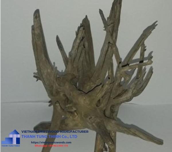 manufacturer-comnguoi-driftwoods (7)