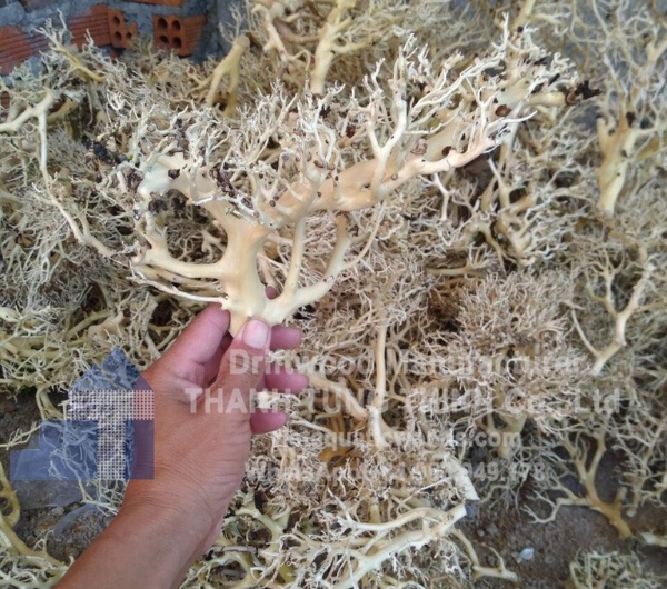 manufacturer-sansan-driftwoods (3)