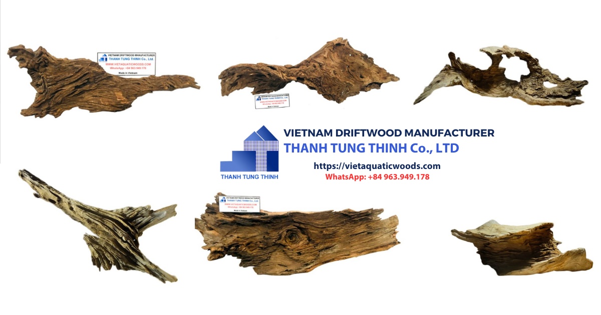 Supplier sanda driftwood has many years of experience in exporting and the samples increase your revenue