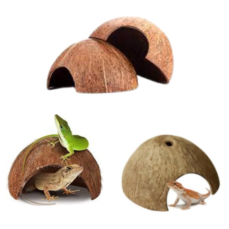Coconut Shell Hideouts For Pets