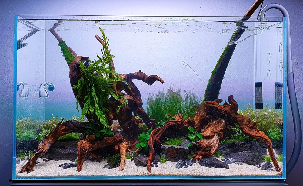 Boost Sales with Premium Aquarium Driftwood for Retailers