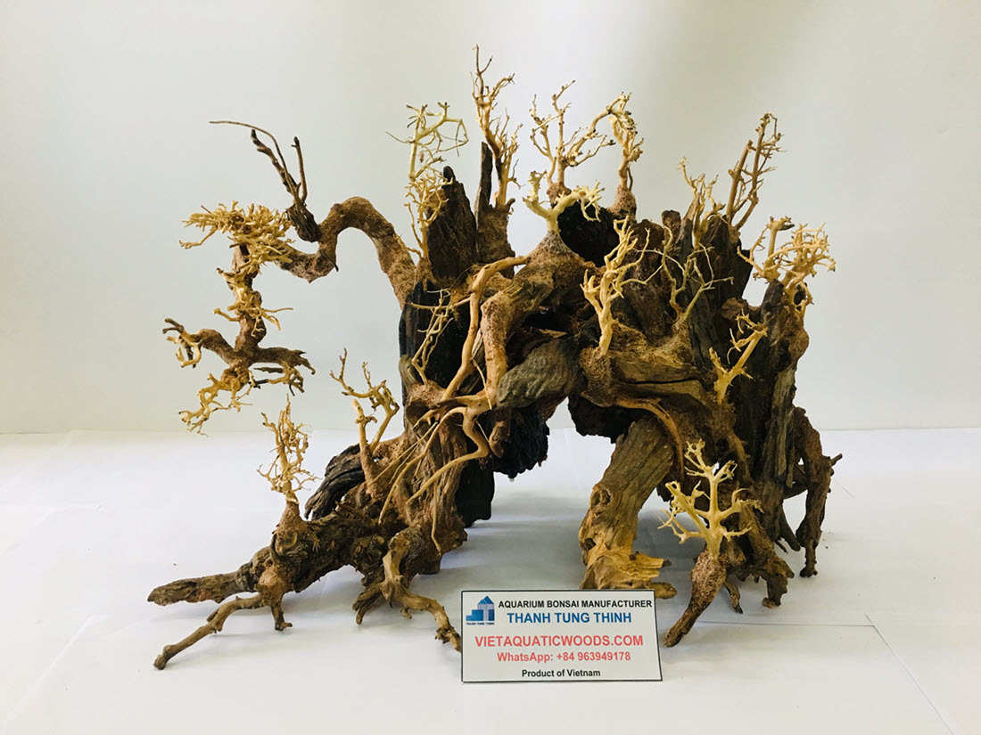 bonsai-driftwood-provides-climbing-structures-and-hiding-places-for-fish