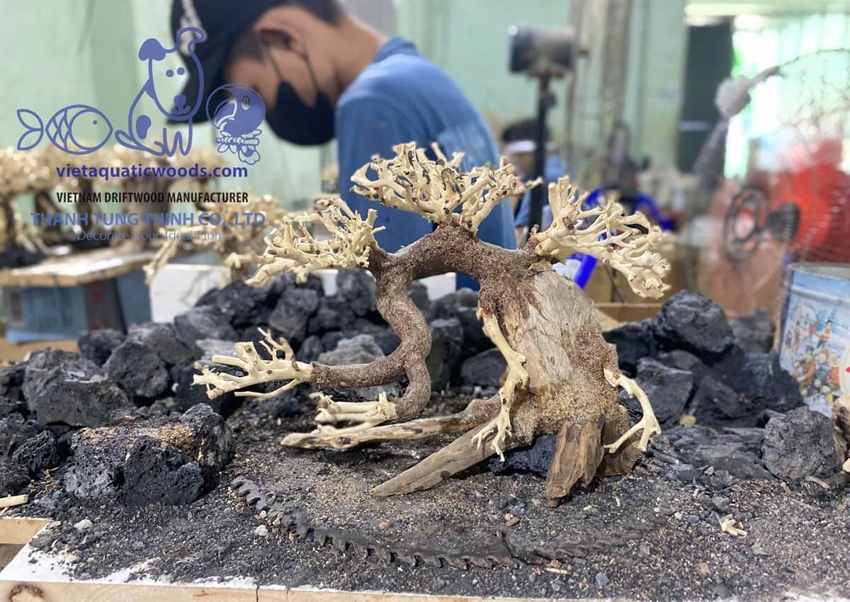 Vietnamese bonsai driftwood supplier offering high-quality, natural driftwood for aquascaping and bonsai displays